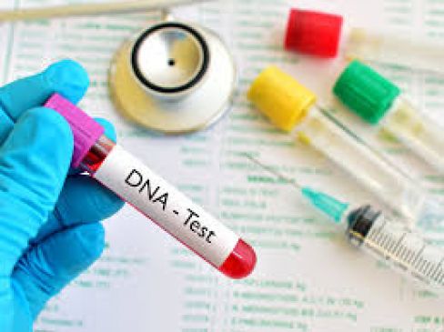 DNA test will reveal childs parents