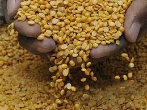 government have not proper planning on pulse in ration shop