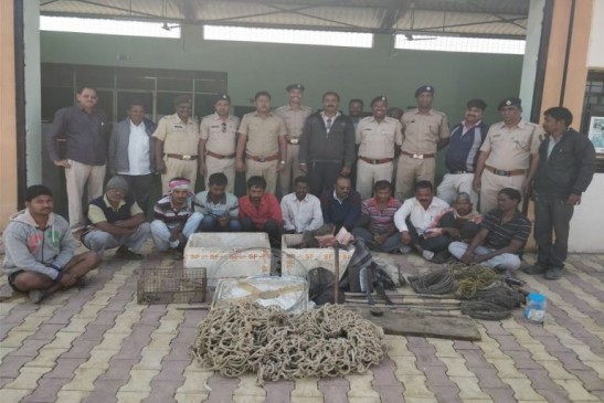 10 accused arrested with animal meat from chandrapur maharashtra