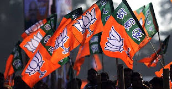 BJP will launch Constitution Poojan campaign, to join minority