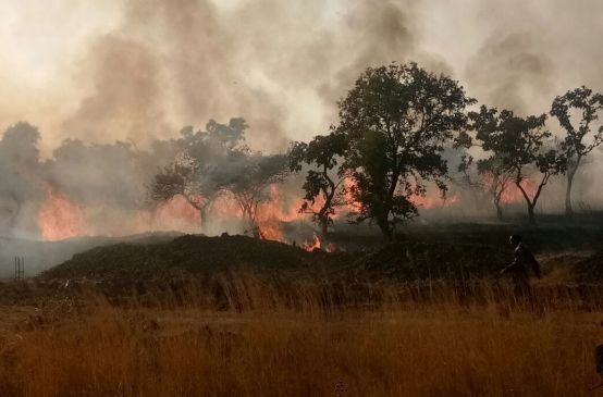 fire spreads in Gorewada jungle situation was tensed, now control