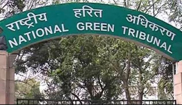 Green Tribunal asked details on fly-ash of power houses