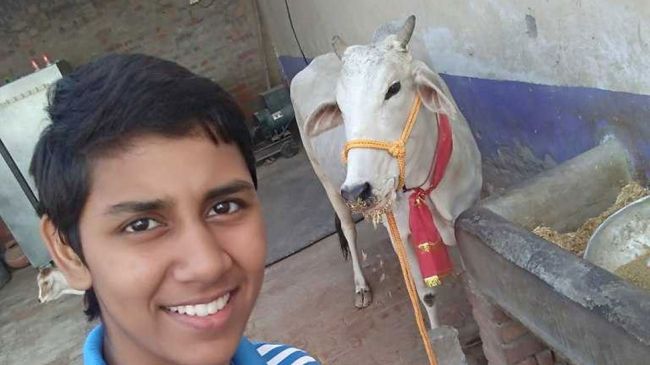 Haryana Female Boxers Return Cows Given As Awards By State Government
