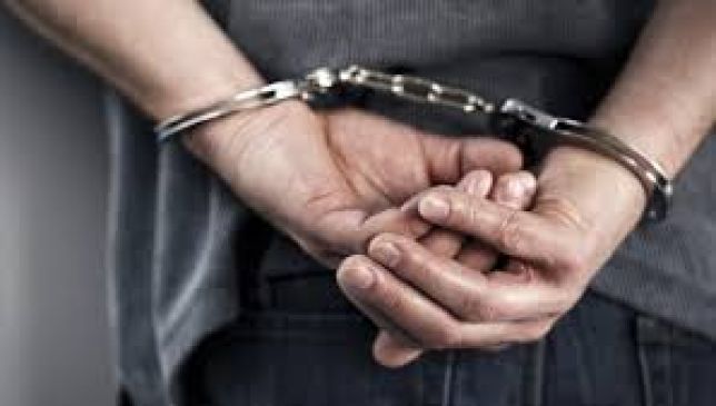 Nagpur: Avinash Bhute, director of Tajshree Group surrenders