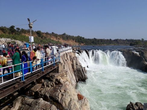 Narmada jayanti celebrated with great zeal and reverence