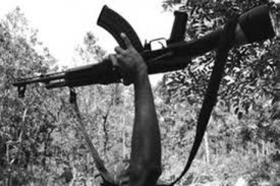 Naxalite youth who surrendered will get job in the ST Mahamandal