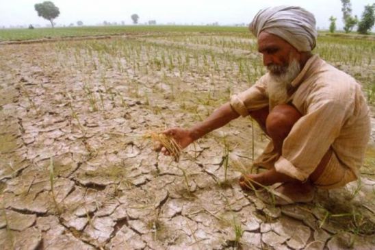 Policy Commission member said that debt waiver is not a solution