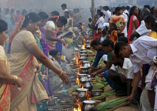 Pongal 2018, Pongal is a traditional festival dedicated to the Sun God Pongal 2018, Pongal is a traditional festival dedicated to the Sun God