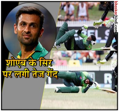VIDEO : बिना हेलमेट खेल रहे शोएब मलिक के सिर पर लगी गेंद, फील्ड पर गिर पड़े