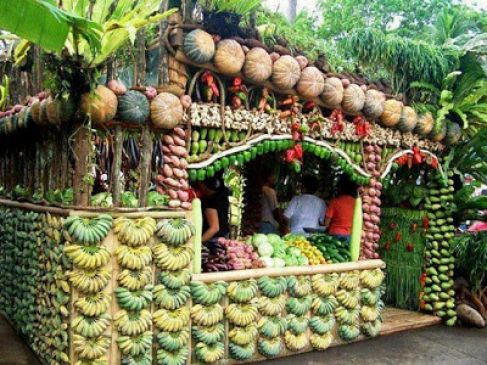 State Level Agri Festival from February 1 in maharashtra