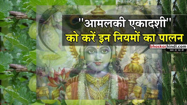 आमलकी एकादशी आज : इस वृक्ष की पूजा से मिलेगा विष्णु व्रत का दोगुना फल