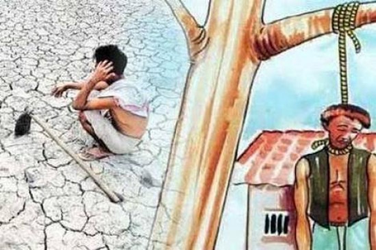 बेमौसम बारिश और ओलावृष्टि के कारण 2.90 लाख हेक्टेयर फसल बर्बाद