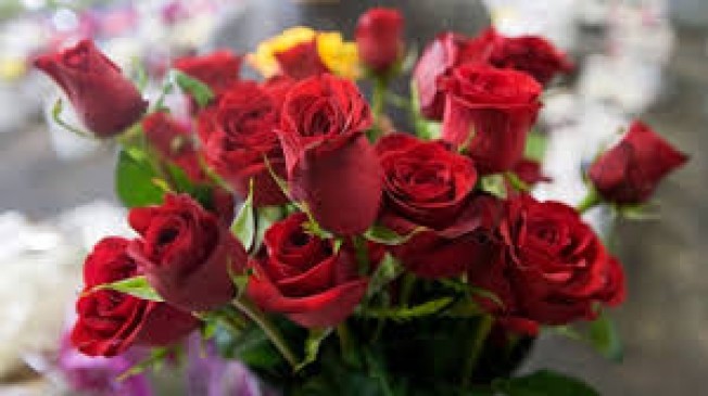 Celebration of Valentines in nagpur in different way
