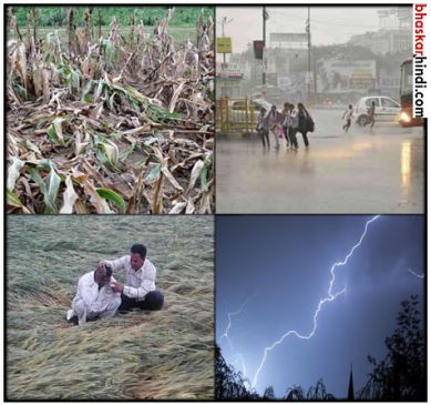 Crops are damaged and in heavy rain, 4 injured due to lightning