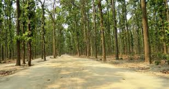Forest department is making fire line and water hole for animals