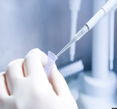 Jabalpur High Court says, DNA investigation will tell who is the father of the child Jabalpur High Court says, DNA investigation will tell who is the father of the child