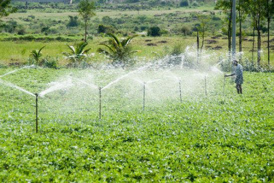order to probe in irrigation scam of nagpur district