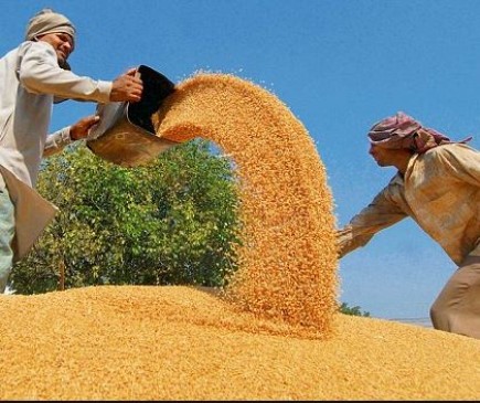 19 % agricultural growth rate falls, cereals may be expensive