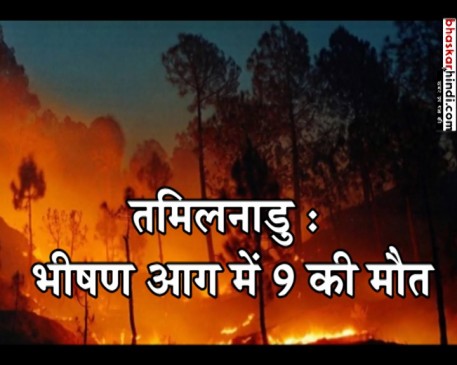 तमिलनाडू; ट्रेकिंग पर गए लोग जंगल की आग में फंसे 9 की मौत, 27 का रेस्क्यू