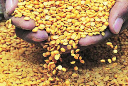 500 crore rupees will be deposited in the bank account of farmers