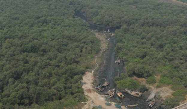 महाराष्ट्र के मैंग्रोव वन क्षेत्र में 63.44 फीसदी की वृद्धि  