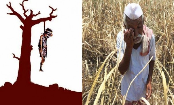 मराठवाड़ा में हर दिन 3 किसान कर रहे हैं आत्महत्या, 21 दिनों में 66 किसानों ने दी जान