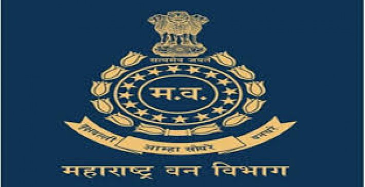 Failure of Forest Newsmans Network, forest department loose it