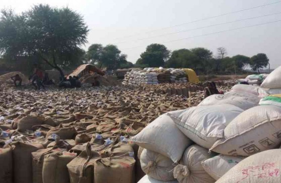 Food Department sought details of action taken against the culprits