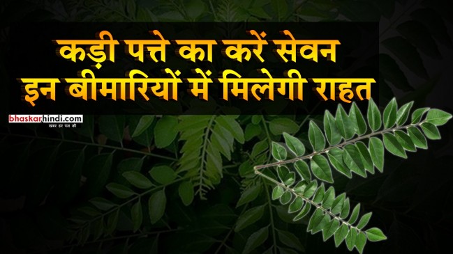 इन बीमारियों से हैं परेशान तो जरूर खाए कड़ी पत्ता 