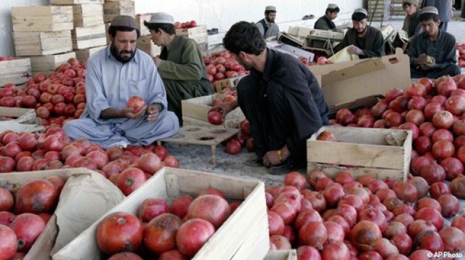 india enter in afghanistan market pakistan loses 50 percent market share