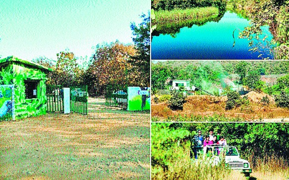 Municipal Corporation will give 25.57 hectare land for Gorevada