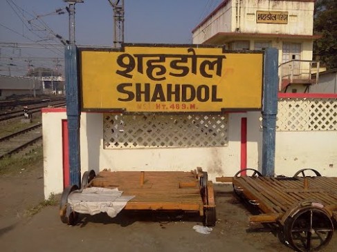Shahdol Division at the fifth place in resolving revenue segments