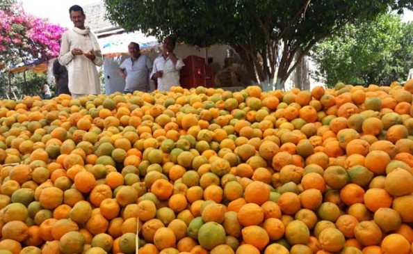 The crores of rupees were ruined in saunas - turn-off markets, workers unemployed,