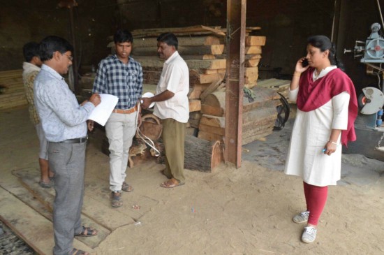 The stolen woods were cutiing in shop- Patwari checked the timber