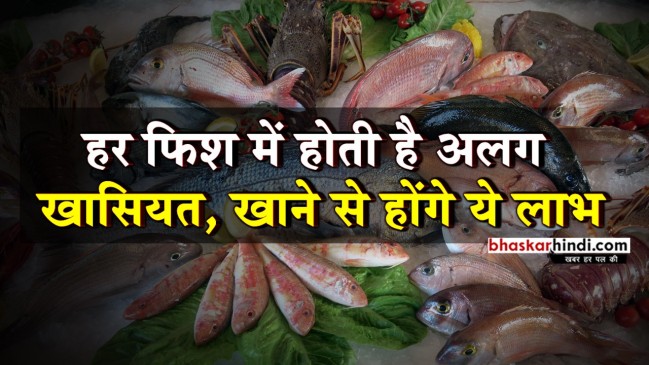 हर फिश में होती है अलग खासियत, खाने से होंगे ये लाभ    