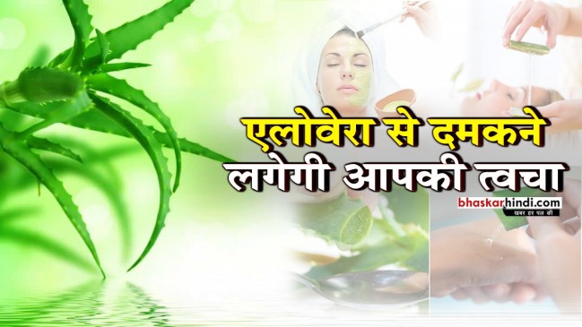 कई रोगों का इलाज करता है एलोवेरा, जानिए इसके कई लाभ