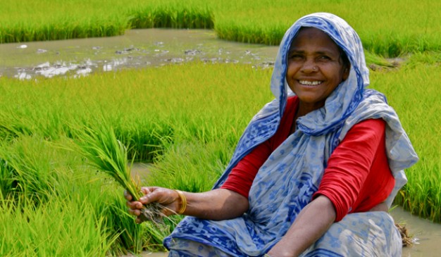 A half fund of the 3112 crores will be spent on the agriculture