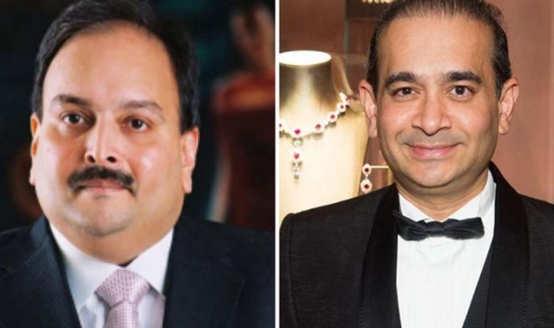 A year back the CVC had raised alarm about PNB scam
