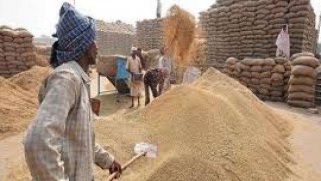 Additional money will be given to farmers for selling paddy to government