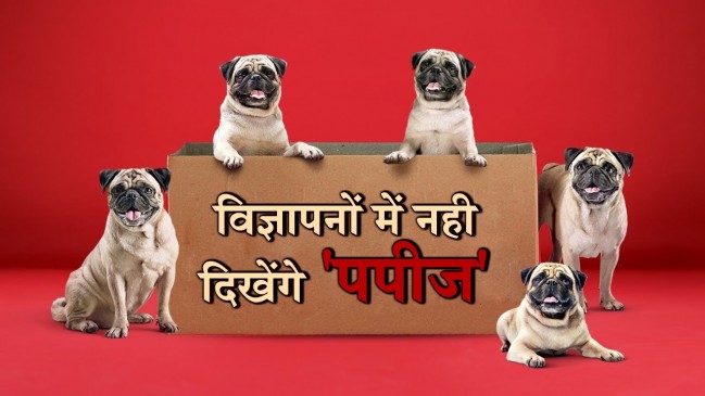 PETA के ऐतराज बाद अब टीवी विज्ञापन में नजर नहीं आयेंगे  छोटे कुत्ते