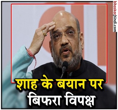 शाह के कुत्ते-बिल्ली वाले बयान पर भड़का विपक्ष, कहा- उनके DNA में है ऐसी भाषा