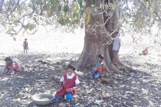 childrens are picking mahua flowers instead of going to school childrens are picking mahua flowers instead of going to school