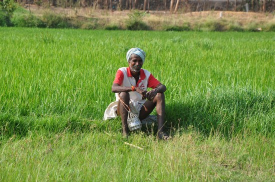 cm krishi samridhi yojana benefits will get farmers who sold his crop