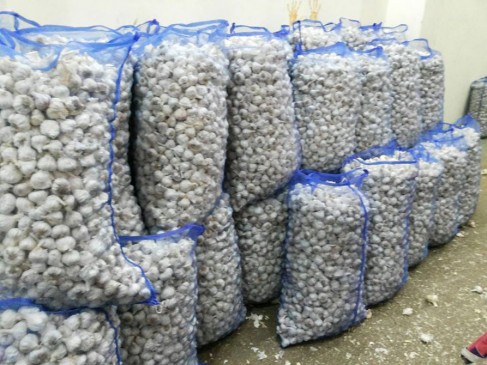 Farmers anger on bhavantar scheme of mp, Garlic back from mandi