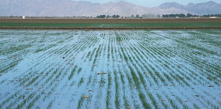 First experiment: water will provided from Hodge system instead of canal