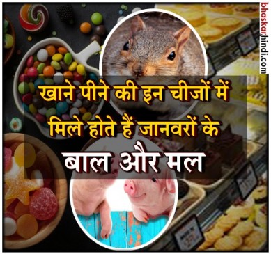 जिसे आप शुद्ध समझ कर खाते हैं उनमें होती है गंदगी की मिलावट
