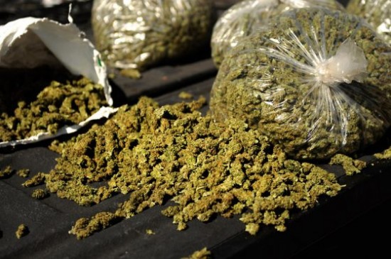 ganja smuggling mp to maharashtra, accused arrested from akola