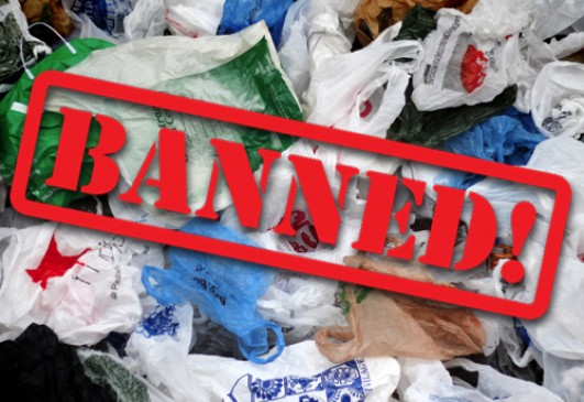 HC decides on plastic ban, question raised on deadline to finish stock