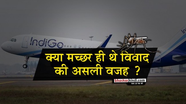 फ्लाइट में मच्छर : डॉक्टर ने की शिकायत, एयरहोस्टेस बोली- पूरे देश में है, छोड़कर चले जाओ