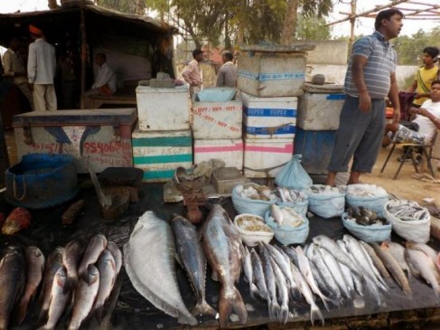 lock shut of this fish market made of 30 million, selling in the open